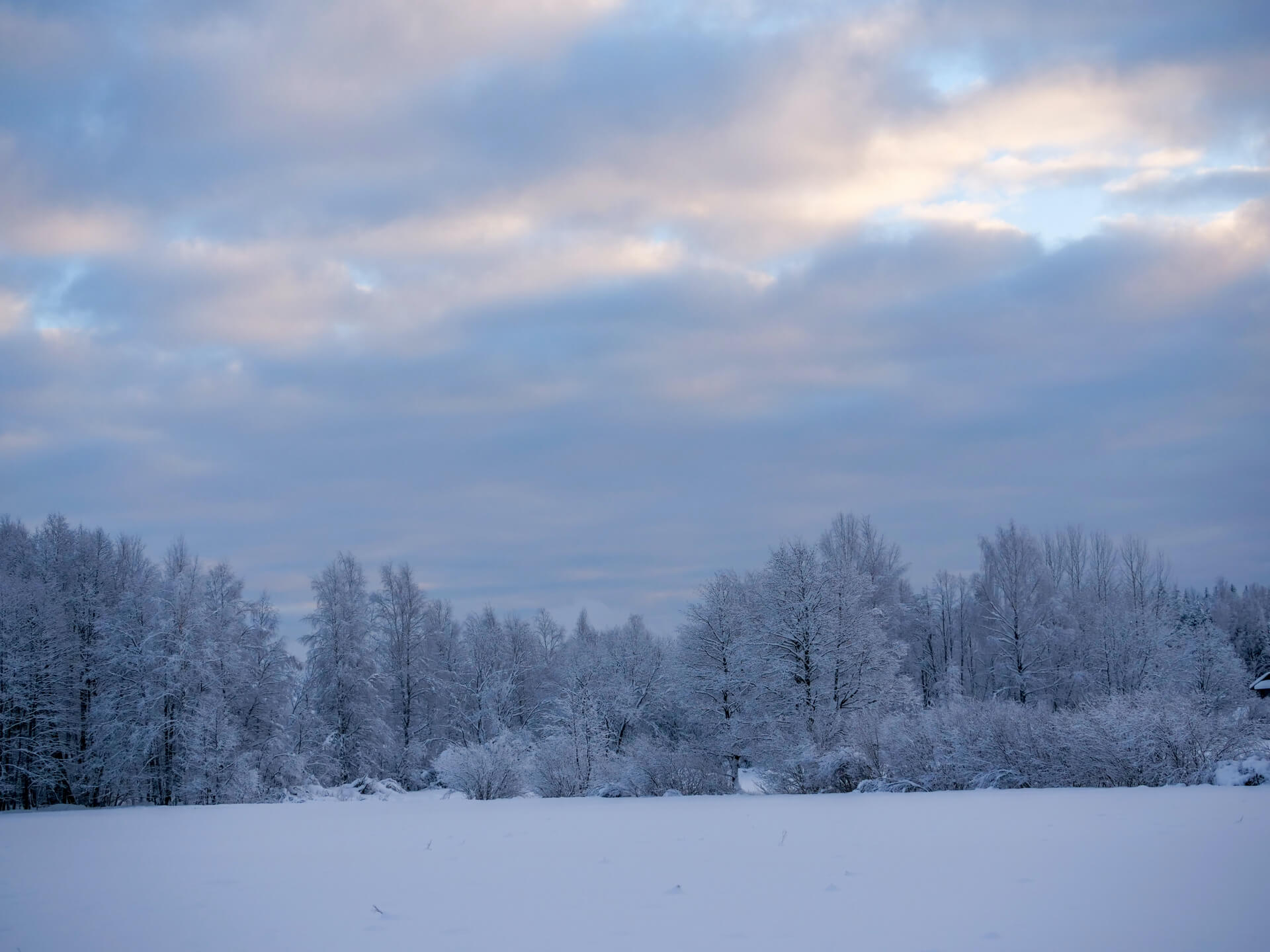 Haupt-Banner